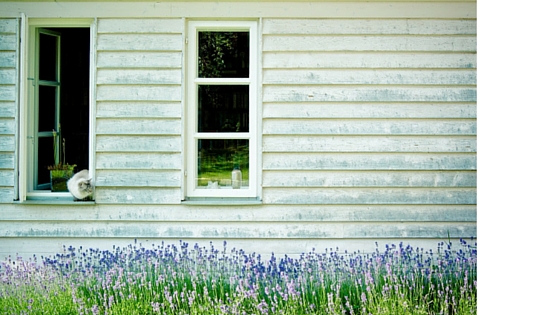 Windows: Their Importance in Accessible Homes and Good Health